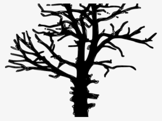 Drawn Dead Tree Leafless - Free Dead Tree Vector #7771917