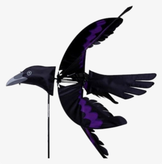 Image Of Raven Spinner - Premier Designs Spinner #7772100