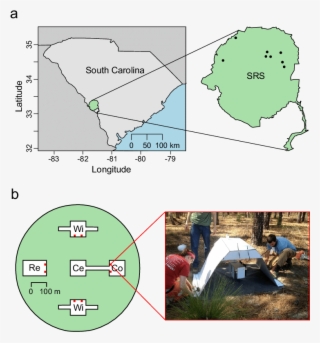 A Locations Of The Eight Experimental Blocks At The - Atlas #7773012