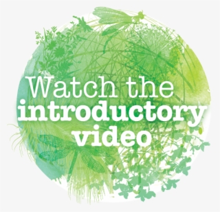 Enjoy Our Introductory Videos - Akram Love #7773353