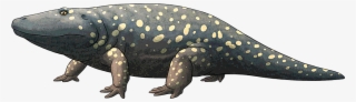 Tumblr Obfoyks8wb1s5f2yxo1 1280 - Prehistoric Amphibian Png #7774972