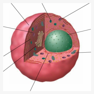 Location - Circle #7775775