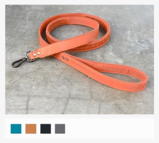 Strap #7775776