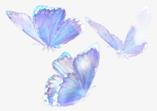 Free Free 205 Realistic Flying Butterfly Svg SVG PNG EPS DXF File