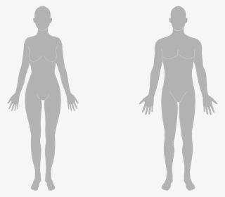 Chin - Human Body Silhouette Png #7776204