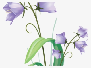 Bellflower Clipart Dove Png - Vector Graphics #7776555