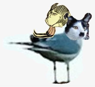 Png - Bird #7777099