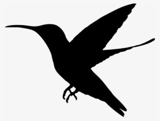 Animal, Bird, Flying, Hummingbird, Silhouette - Hummingbird Silhouette #7777503