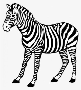 Zebra Pictures To Print - Coloring Images Of Zebra #7778571