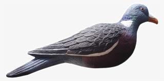 Custom Design Ultimate Decoy - Pigeon Forme Hd #7779660