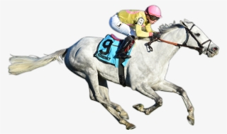 Mr Maybe Wins The G3 Red Smith - Racing Horse Cut Out #7781855