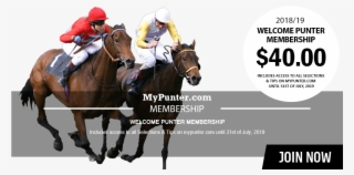 Horse Racing #7781977