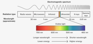 Electromagnetic Spectrum And Visible Light - Mcat Light Spectrum #7782174