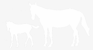 International Races - Mane #7782502