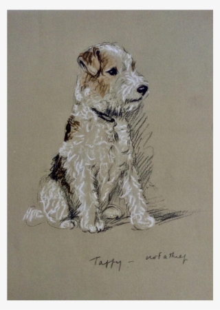 1930's-1940's Lucy Dawson, Wire Haired Terrier Named - Terrier #7783540