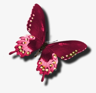 Butterfly Clip Art, Red Butterfly, Beautiful Butterflies, - Butterfly Burgundy Png #7783784