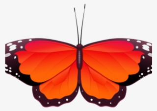Monarch Butterfly Clipart Red - Red And Orange Butterfly #7783927