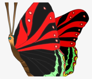 Butterfly Clipart Red - Illustration #7783971