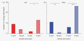 Innate Preference Of Naive Butterflies Tested With - Diagram #7784011