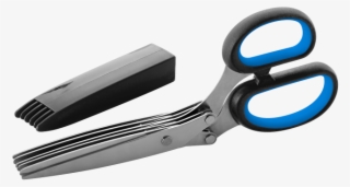 Scissors #7784244