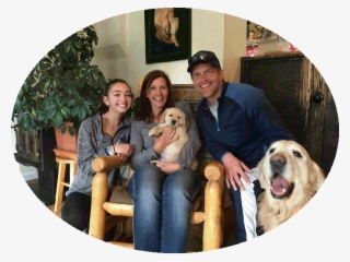 Sound Golden Retrievers" - Golden Retriever #7786089