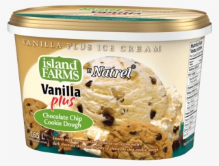 Smooth And Creamy Vanilla Flavoured Ice Cream With - Ice Cream #7786450