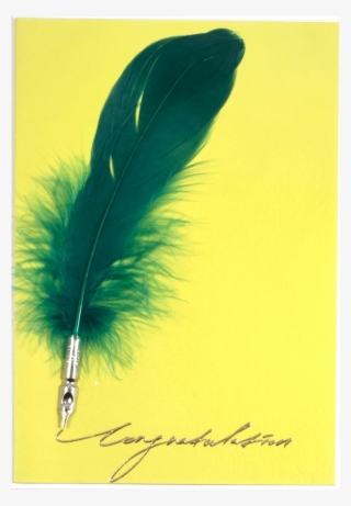 Feather Pen Congratulation - Calligraphy #7786998