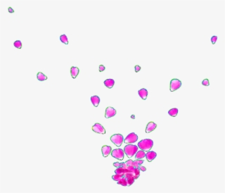 Flower Petal Png - Illustration #7791317 Flower Petal Png - Illustration #7791317