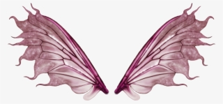 An Interactive Download Selbsterfahrung In Der - Alas De Hada Real #7791453