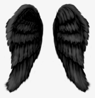 Angel Wings #7791623 Angel Wings #7791623