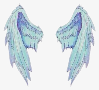 Wing Wings Asas White Angel Angelwings Overlay - Asas Na Parede #7791630