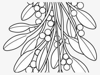 Christmas Coloring Pages Black And White With Mistletoe - Mistletoe Line Art #7791891
