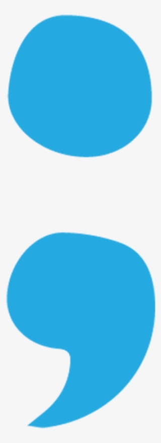 The Semicolon Wars - Circle #7792333