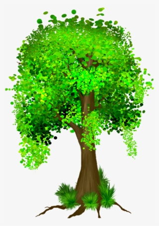 money tree png transparent money tree png image free download pngkey money tree png transparent money tree