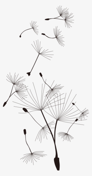 Common Dandelion T Shirt Cartoon - Desenhos De Dente De Leao #7793544