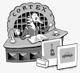 The Hippocampus Is A Seahorse Shaped Brain Structure - Cartoon #7793646