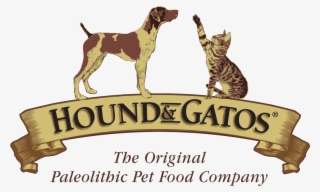 German Shorthaired Pointer #7794910