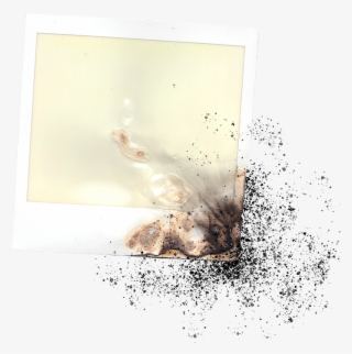 An Unused, Burned Polaroid Photograph - Picture Frame #7795275