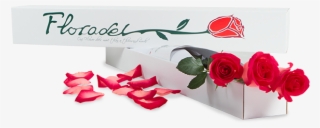 Completo” Y Si Obsequias Un Ramo De Rosas Rojas Más - Garden Roses #7795369