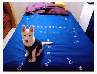 Forro Protector Para Camas - Working Dog #7795575