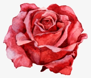Hand Painted A Delicate Rose Png Transparent - Portable Network Graphics #7796040