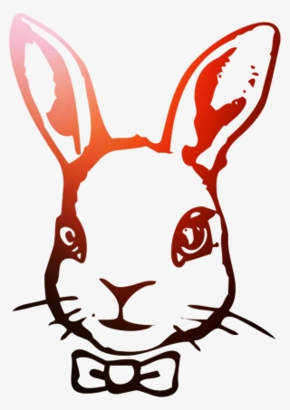 Hare Domestic Illustration Rabbit Easter Bunny Clipart - Domestic Rabbit #7796279