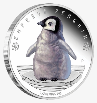 2017 1/2oz Polar Babies Silver Proof Coin - Emperor Penguin Coin Uk #7797118