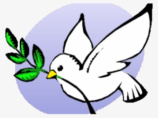 Peace Dove Clipart Fig Leaf - Dove With A Leaf #7797218