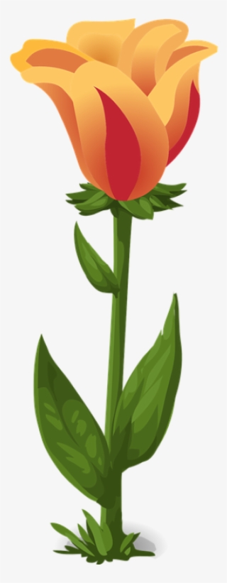 Png Bunga Tulip Pluspng - Planta Con Flor Png #7797415