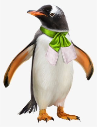 Banner Transparent Image Result For Penquin And Polar - Gentoo Penguin #7797685