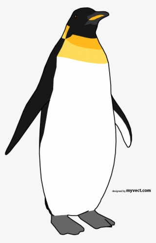 Penguin Vector - Penguin Vector Png #7797993