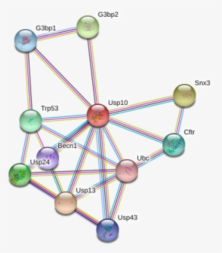 Circle #7798411 Circle #7798411