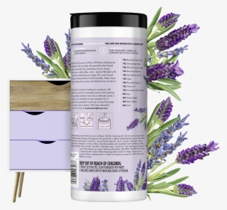 English Lavender #7798872