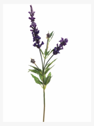 22" French Lavender Spray Purple - English Lavender #7798907